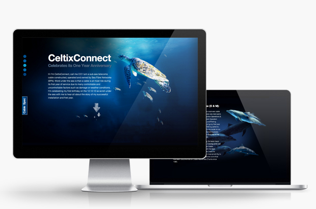 Stevie Russell home page website design